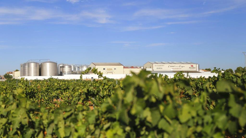 Bodegas Alcardet.