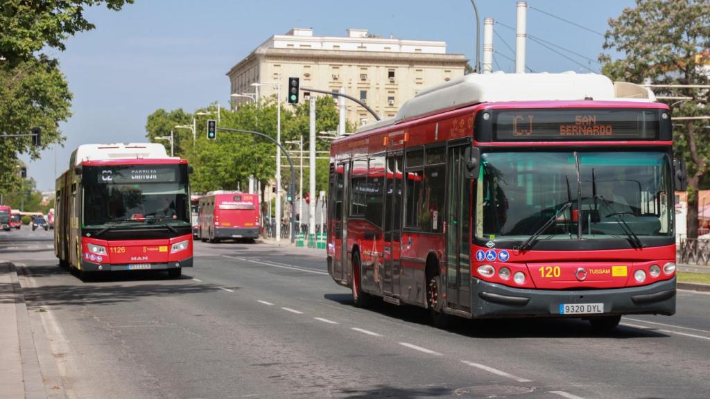 Autobuses de Tussam.